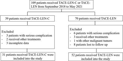 Safety and efficacy of lenvatinib combined with camrelizumab plus transcatheter arterial chemoembolization for unresectable hepatocellular carcinoma: A two-center retrospective study